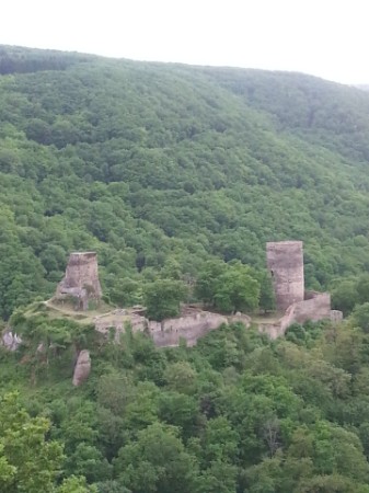 Blich aus den Weinbergen auf die Ruine Stahlberg oberhalb von Bacharach  Steeg